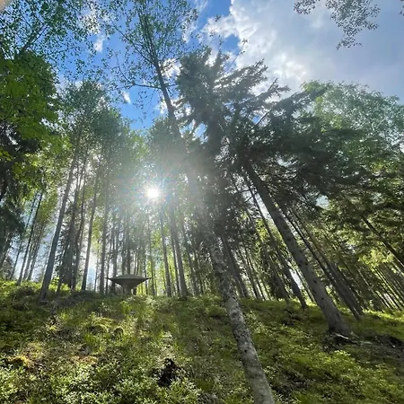 Ruhtinaanmäen Spider Tree Tent * Savitaipale